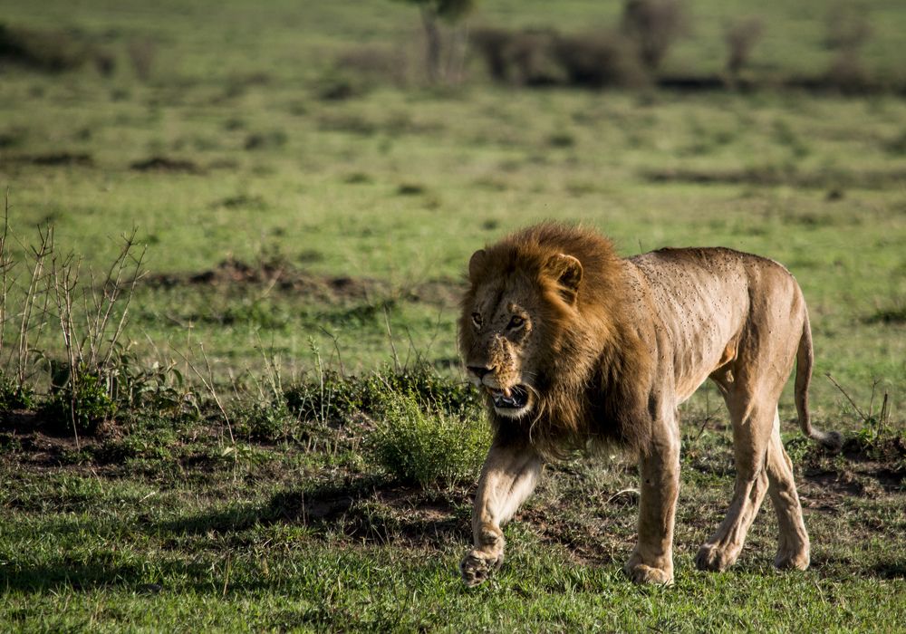 Photograph by Murad Rajabali Habib