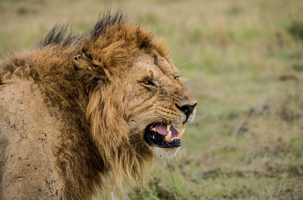 Photograph by Murad Rajabali Habib