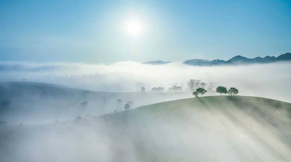 Photograph by QUY NGUYEN