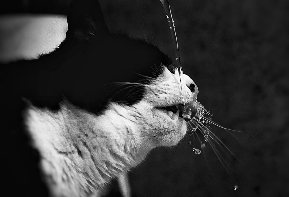 Photograph by Tomasz