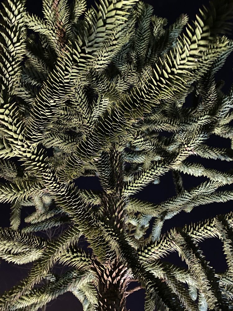 Photograph by Диана