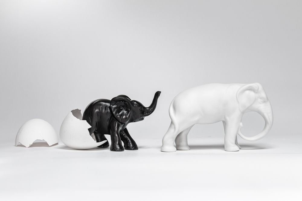 Photograph by Сергей Осинцев