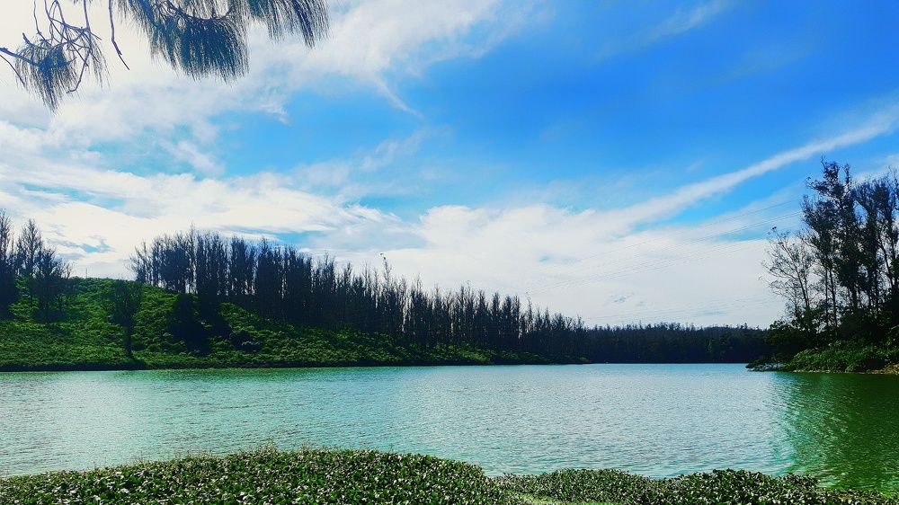 Photo #7423043