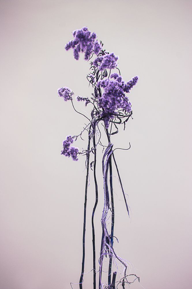 Photograph by Anastasiya Deia