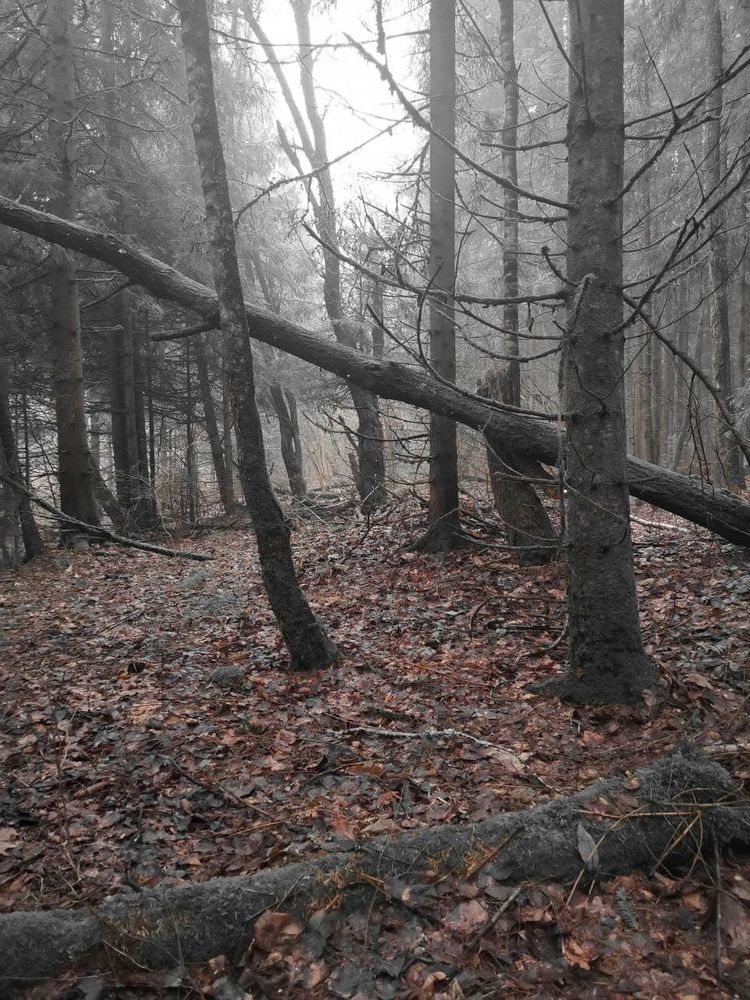 Photograph by Evgeny Yurmanov