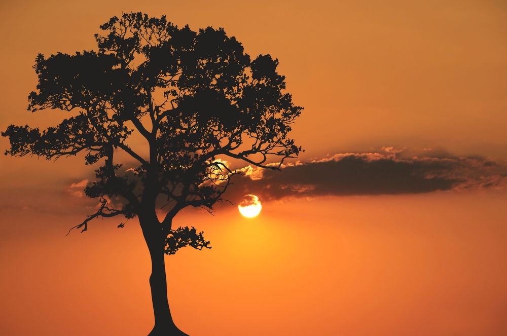 Photograph by Michael Lazaridis