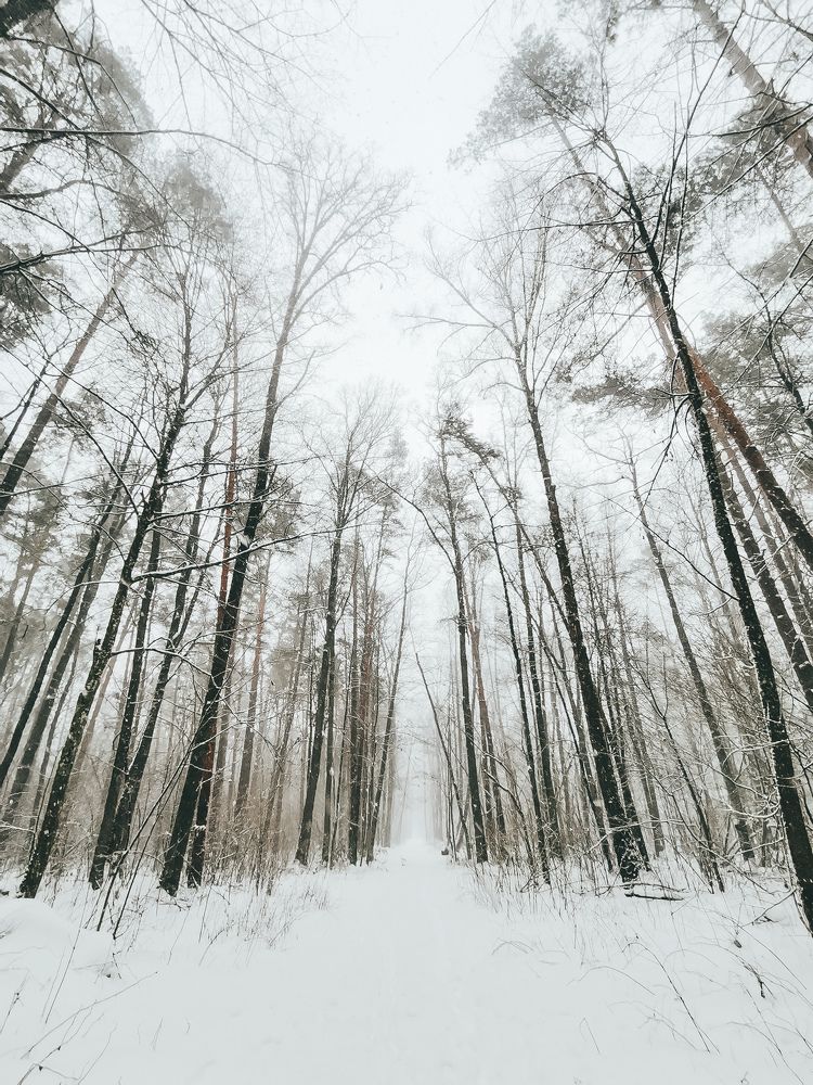 Photograph by Ярош Анастасия