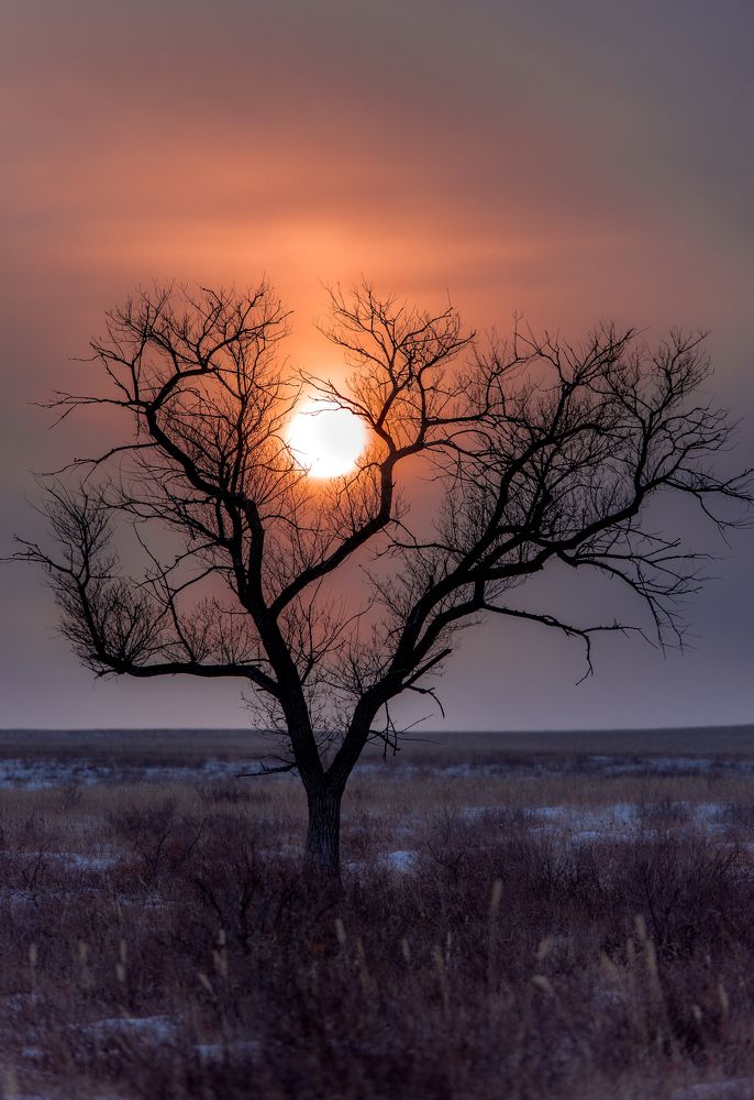 Photograph by Amarbayasgalan