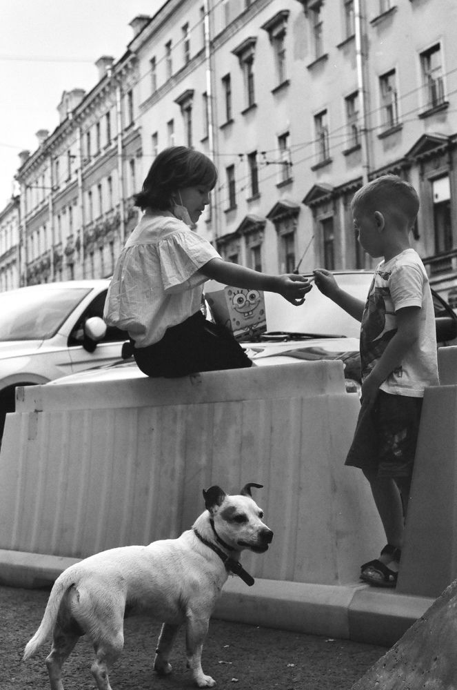 Photograph by Maxim Pogadaev