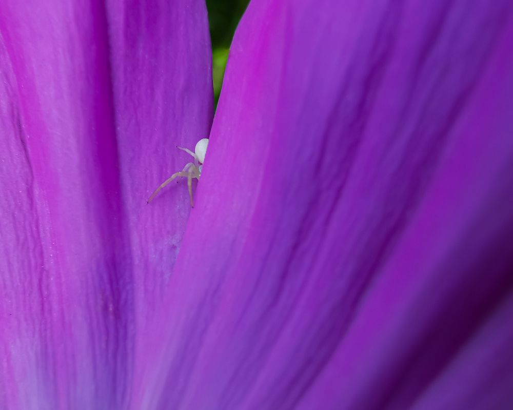 Фотография автора Дмитрий