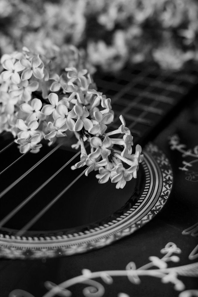 Photograph by Алена Мальцева