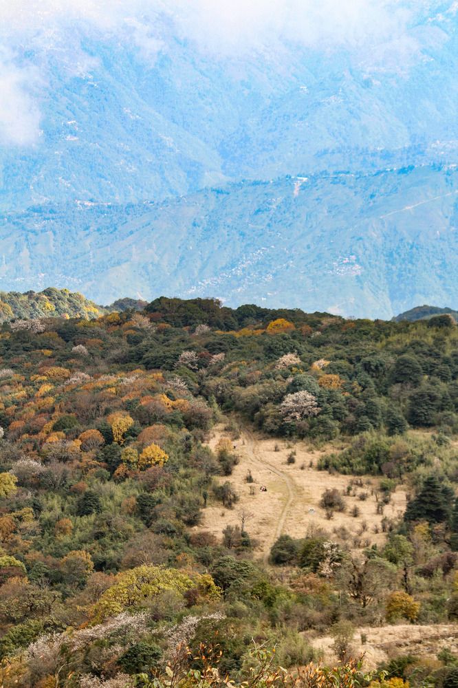 Photograph by Anand Targain