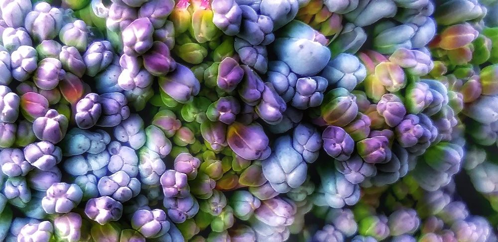 Photograph by Светлана Середина