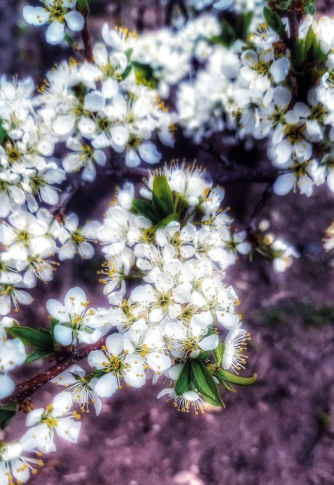 Photograph by Светлана Середина