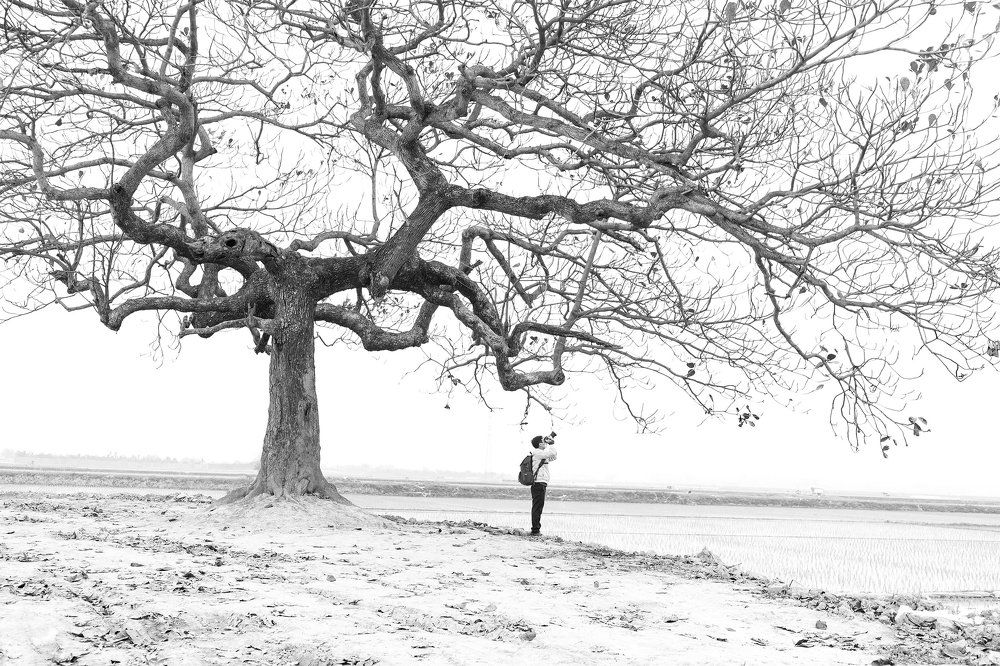 Photograph by Ngọc Nguyễn