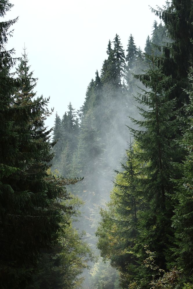 Photograph by Adi Truhcheva