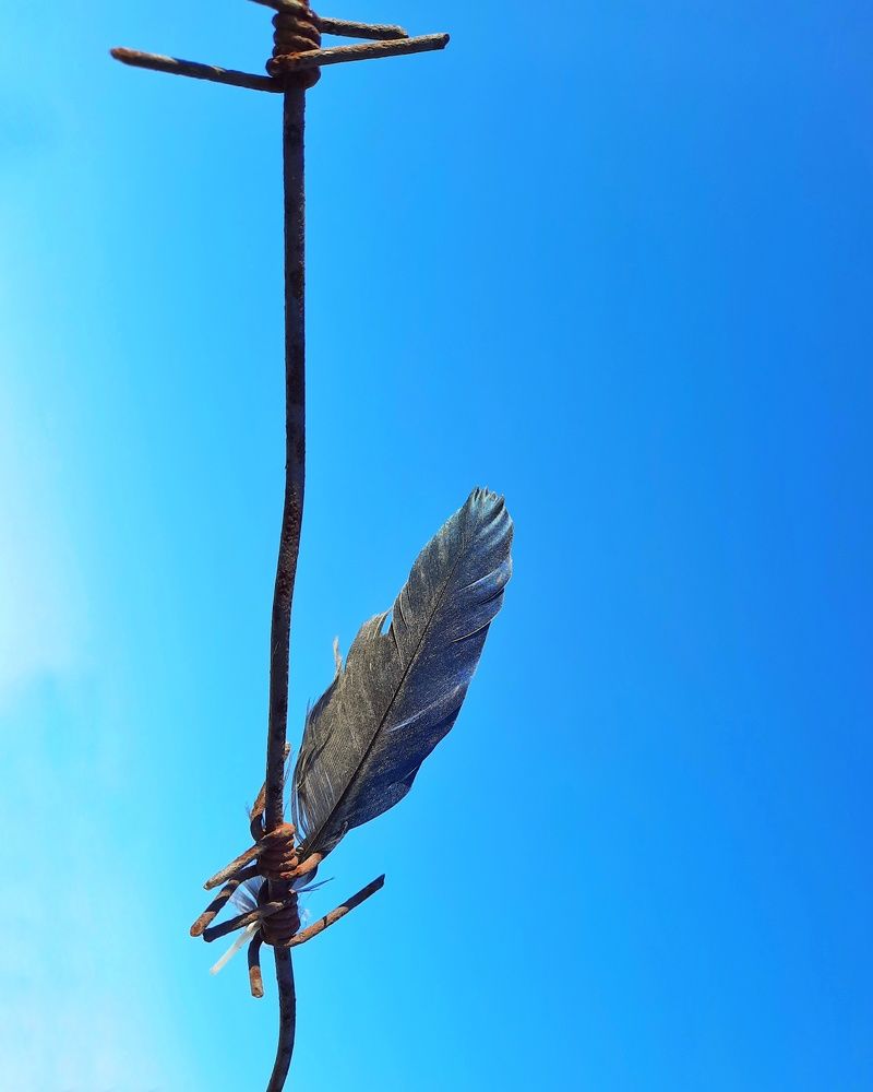 Photograph by Любовь Войтишина