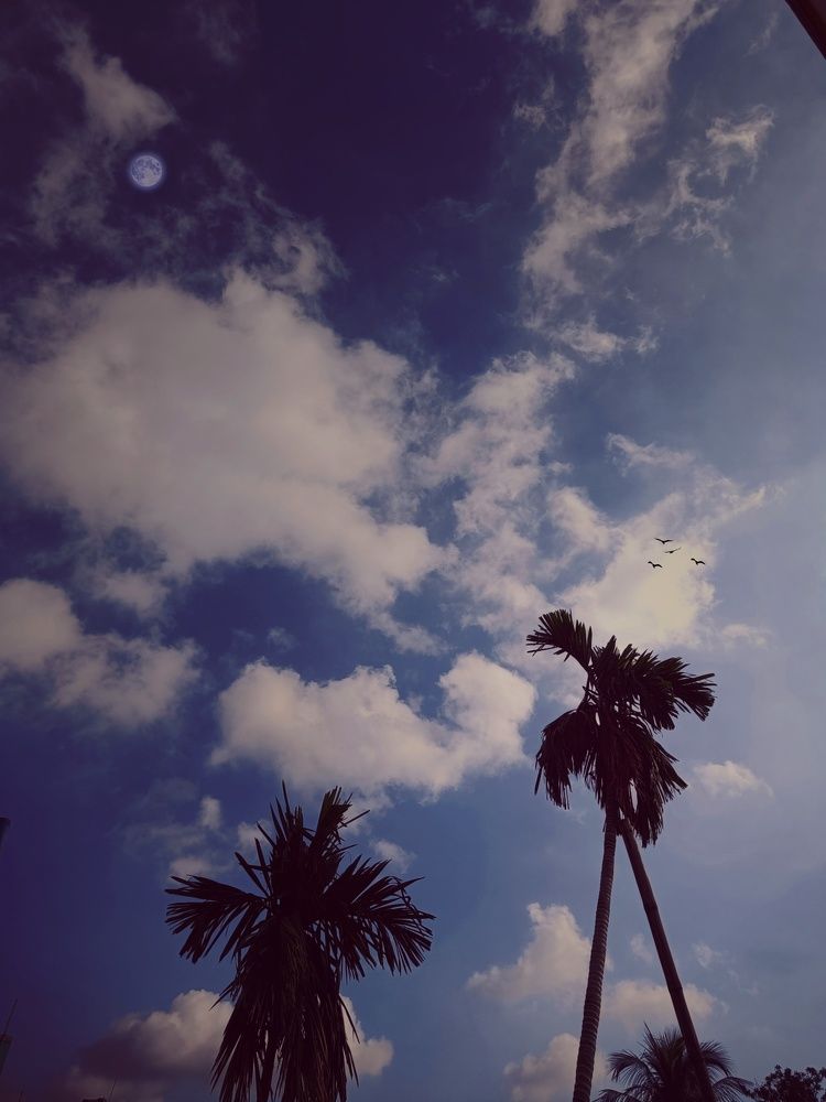 Фотография автора DALUI AMIT KUMAR