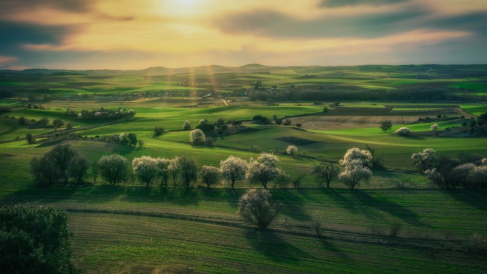 Photograph by Alberto Alonso