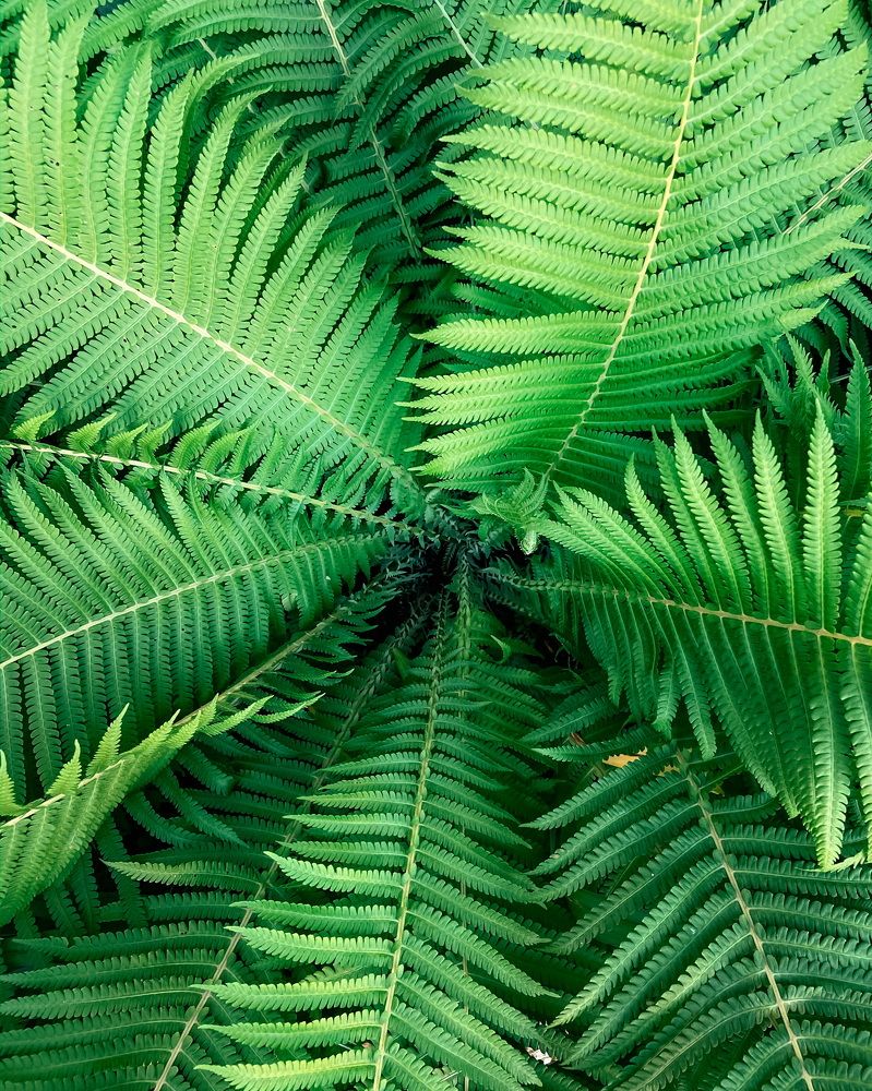 Photograph by Анна Леонова