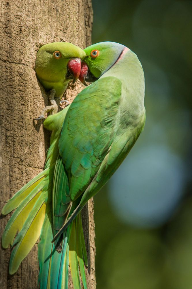 Photograph by Abhishek Singh