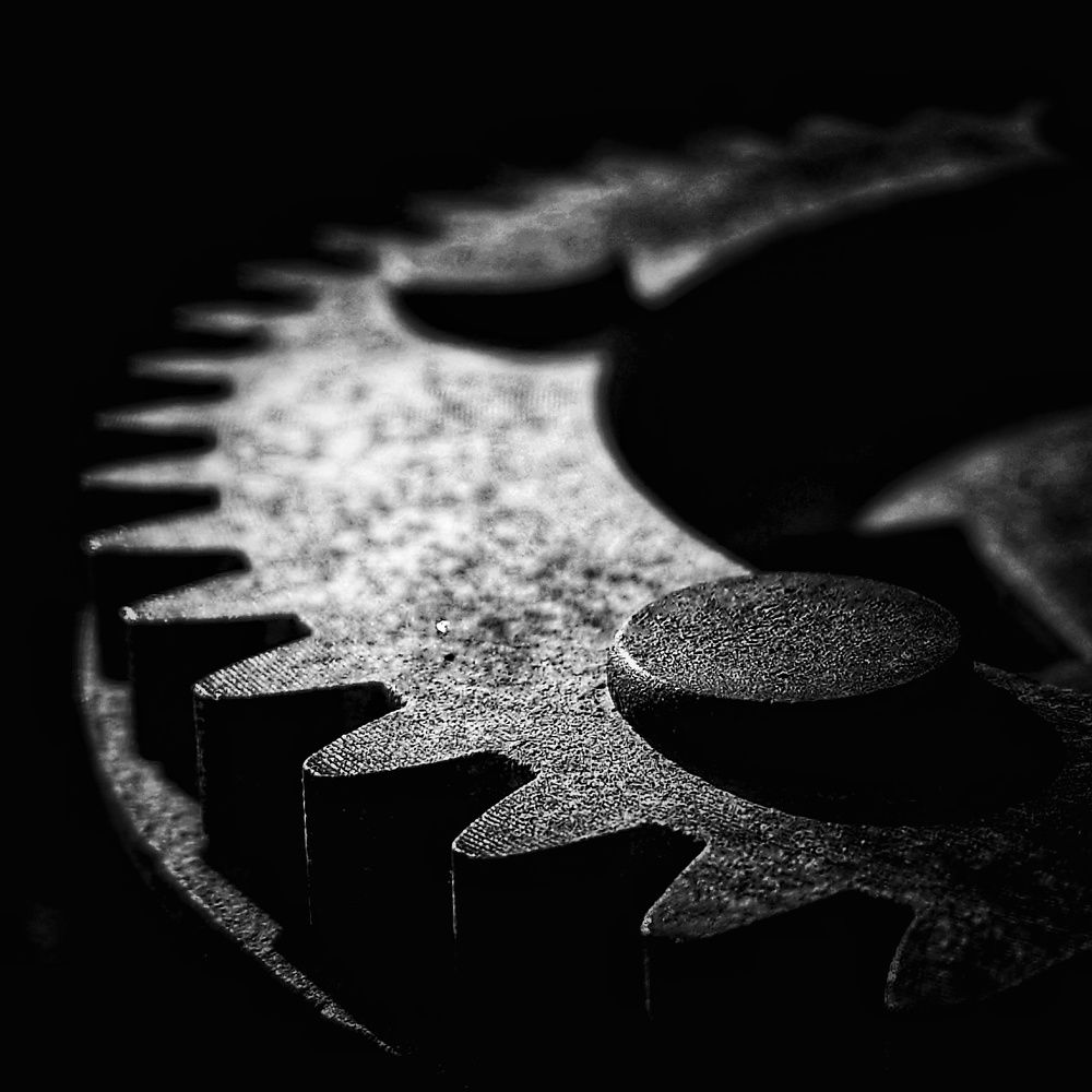 Photograph by Angelo Sab