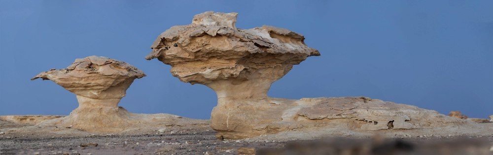 Photograph by Hashem Mohamed