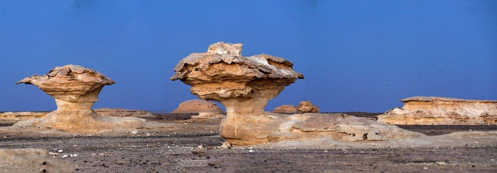 Photograph by Hashem Mohamed