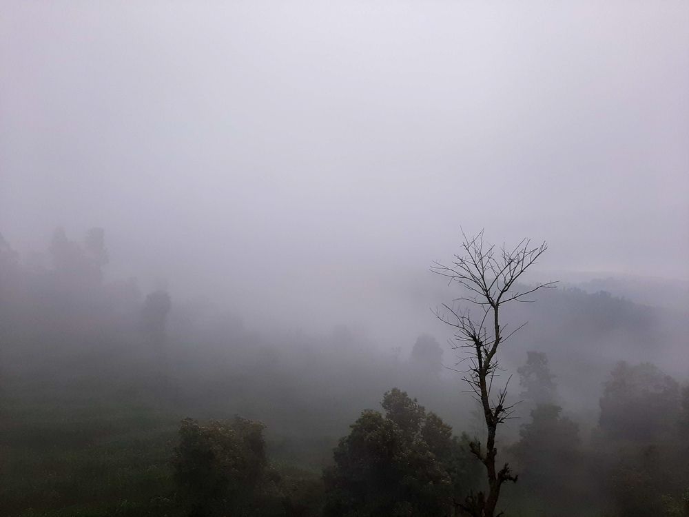 Photograph by Santosh Shrestha