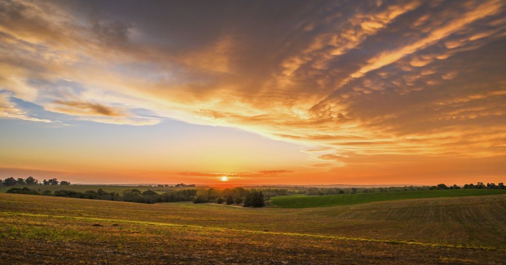 Фотография автора Анатолий