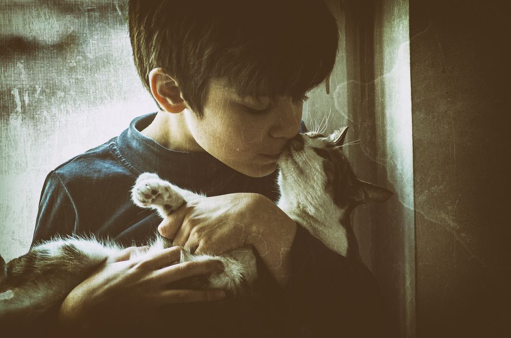 Photograph by DAMOUN POURNEMATI