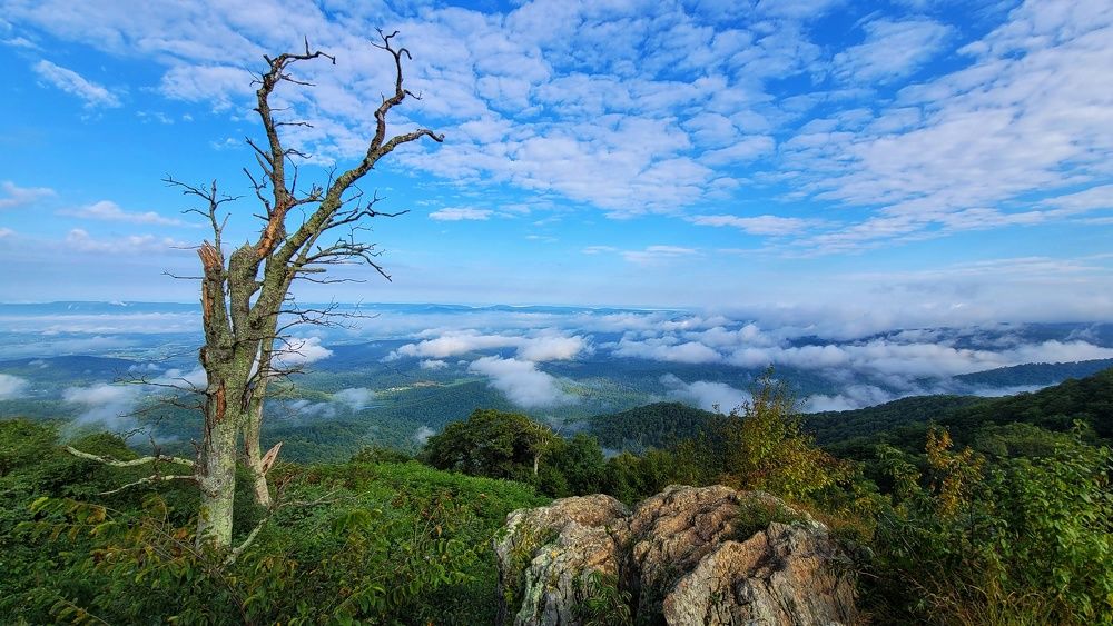 Photograph by Lev Svichar