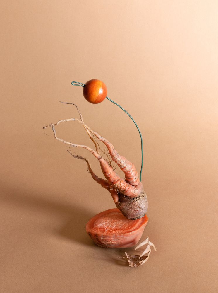 Photograph by Aušra Peciuriene