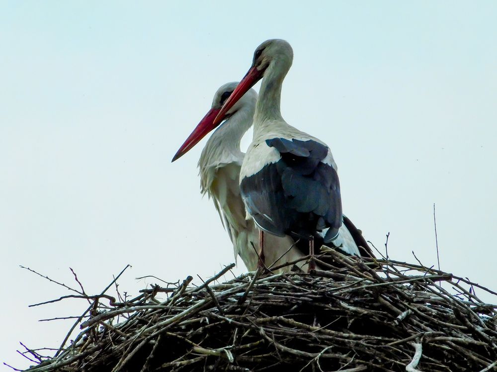 Photograph by Юлия Закопайло