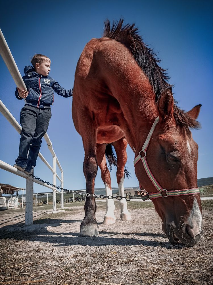 Photograph by Анна Корытина