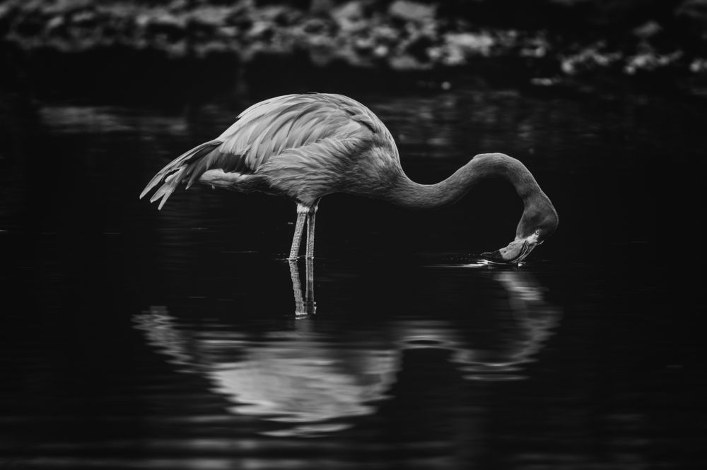 Anschauen auf Wasser