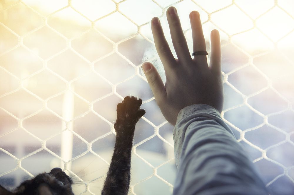 Photograph by Igor Pereira