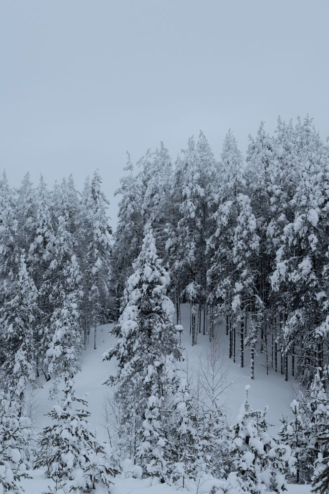 Photograph by Александр Устинов