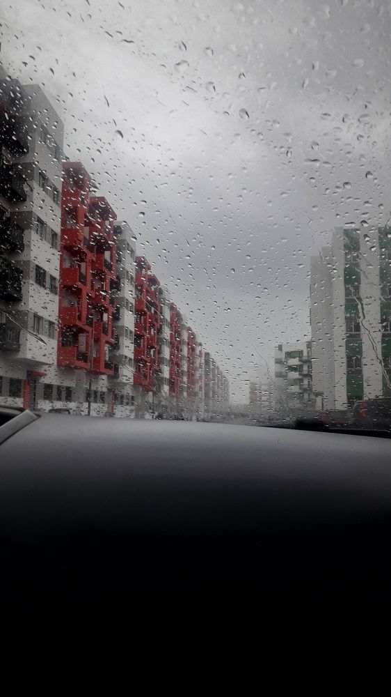 Photo #7424077