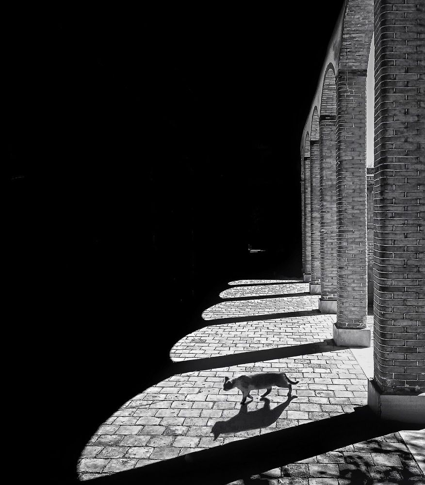 Photograph by Mojtaba Gitinezhad