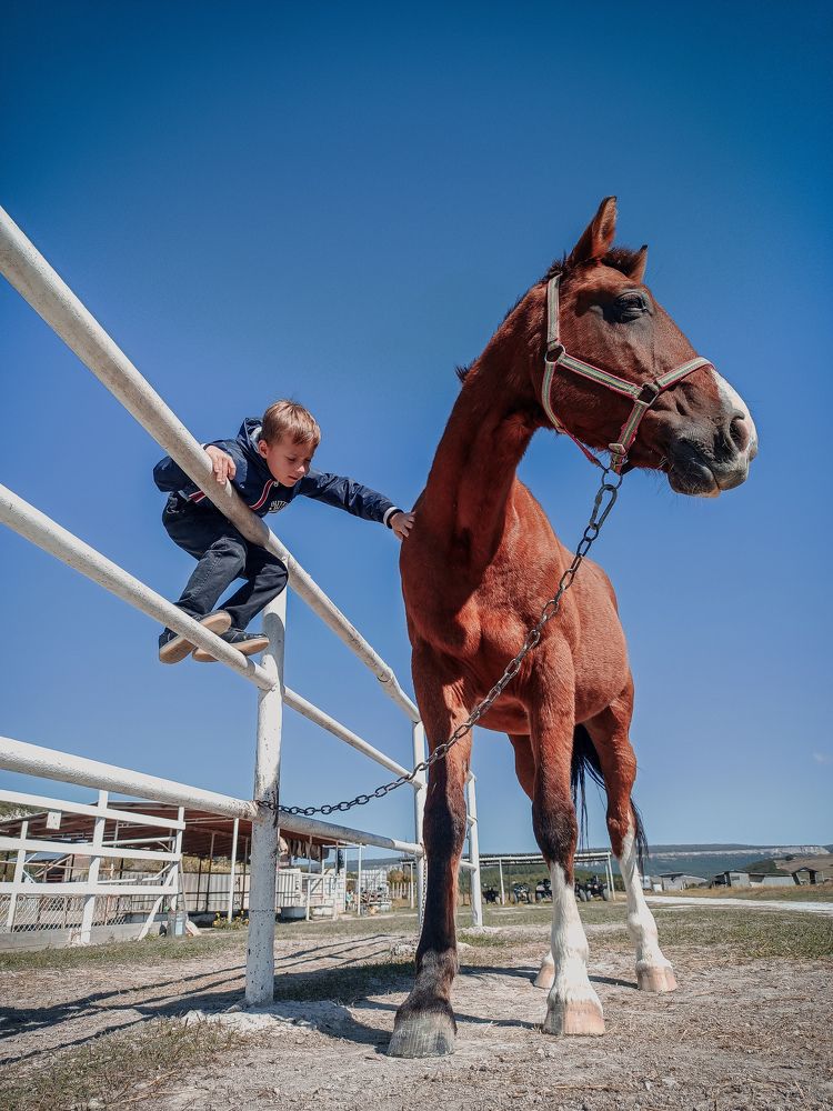 Photograph by Анна Корытина