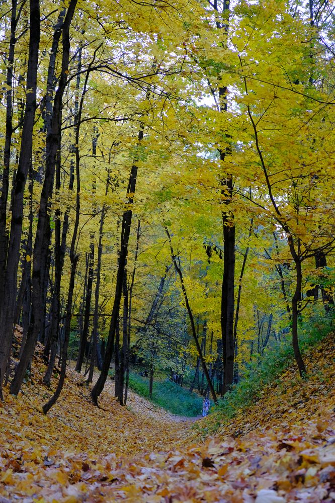 Photograph by Сергей Коробейников