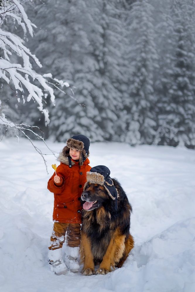 Photograph by Елена Митина