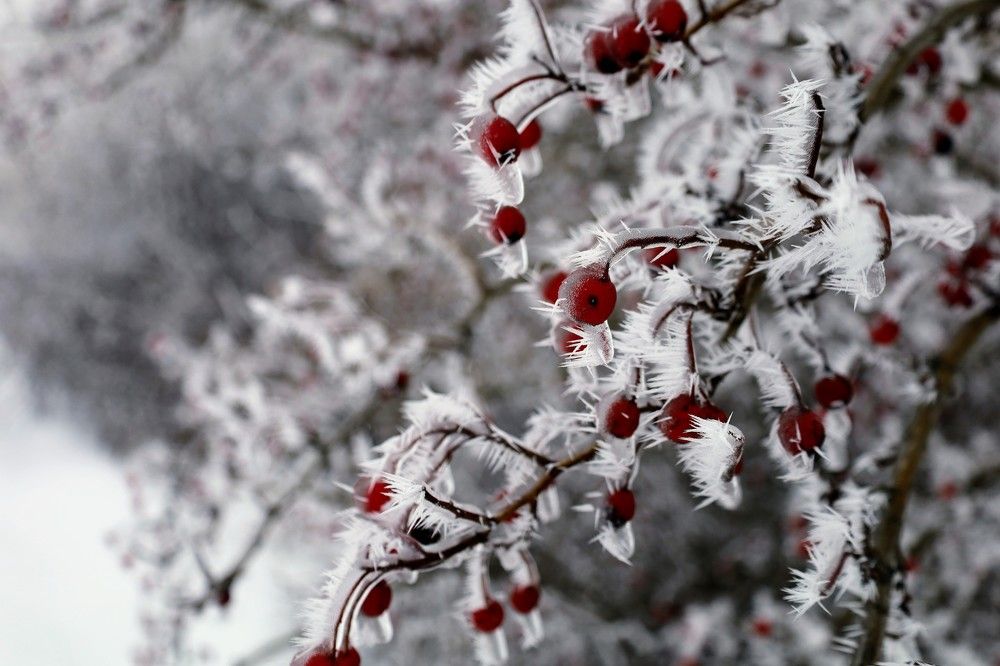 Photograph by Александра Малиновская