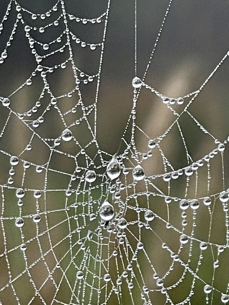 Photograph by Paulo Viegas