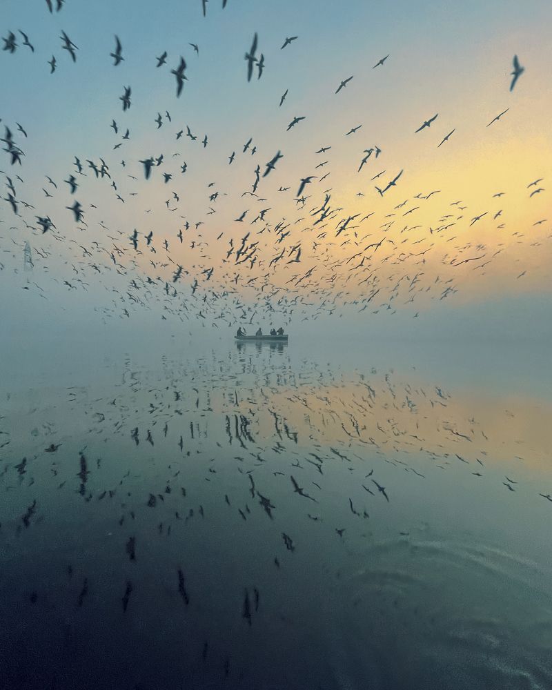 Photograph by Nisha Tiwari