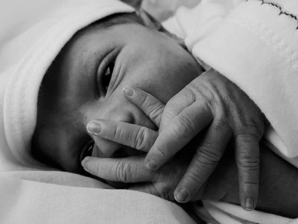 Photograph by Zahra HassanPour