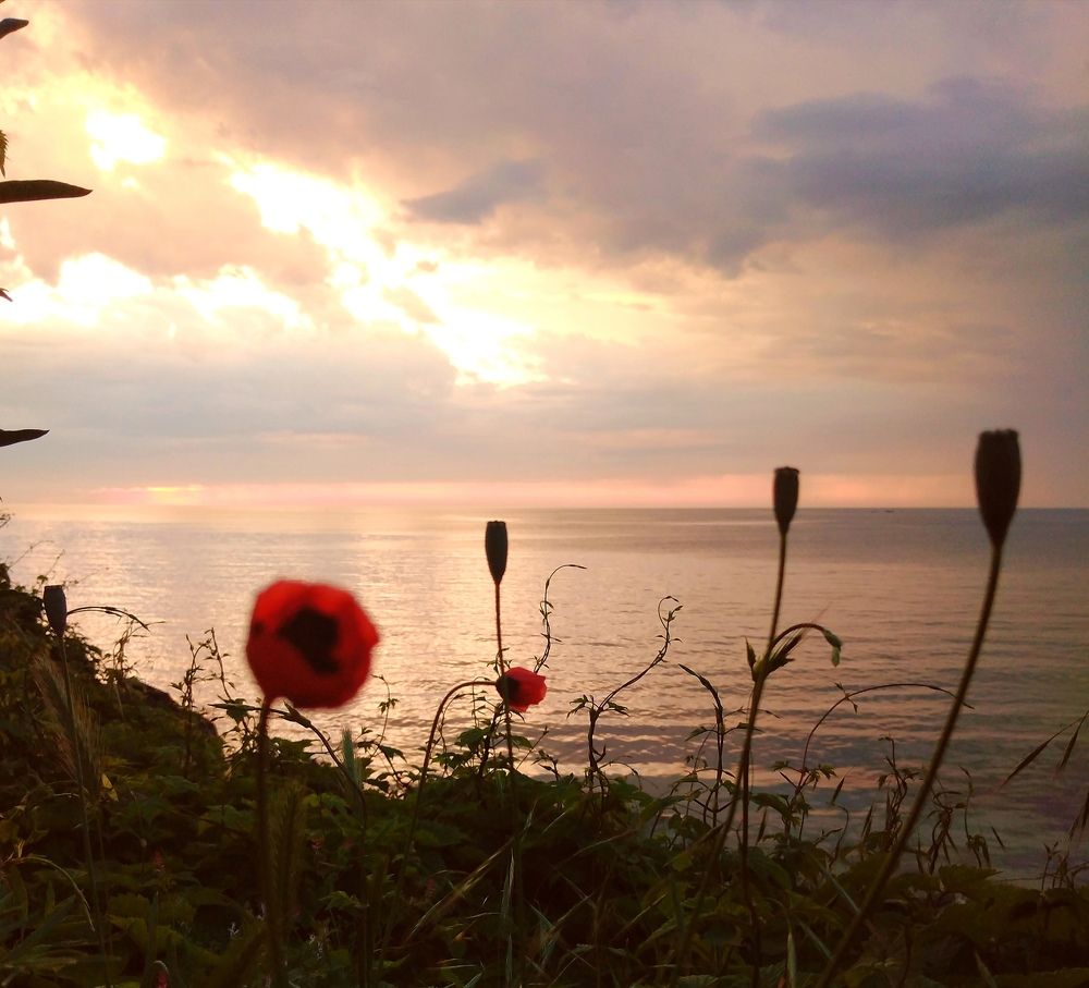 Photograph by Анна Гросу