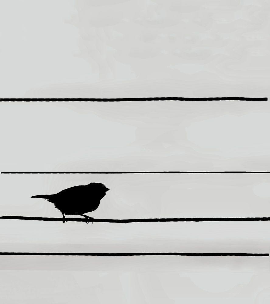 Photograph by Reza Heydari