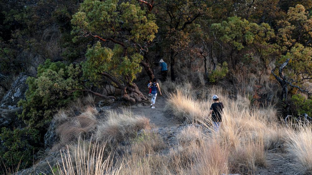 Sometimes life is more about houses or streets